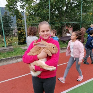 De zvířat